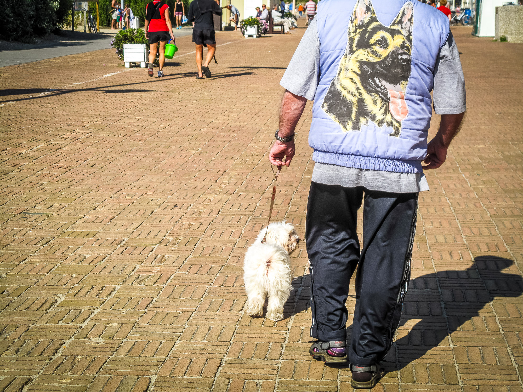 Man met hondenprint op zijn vest laat zijn hondje uit